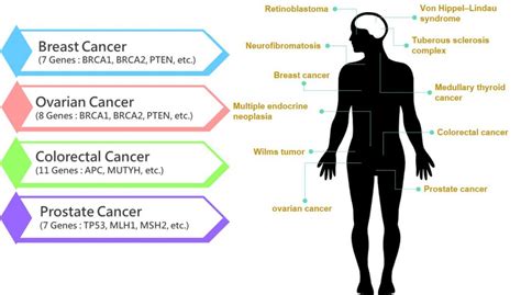 Hereditary Cancer Risk Analysis Gga Malaysia