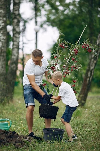 P Re Avec Petit Fils Sont En Train De Planter Un Arbre Sur Une Cour