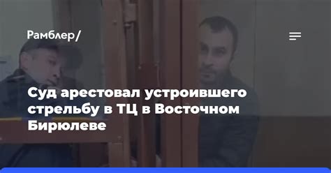 Суд арестовал мужчину устроившего стрельбу в ТЦ в Восточном Бирюлеве