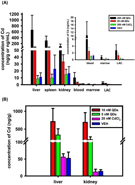 Qd Content Reflected By The Cadmium Amount Was Shown In Livers