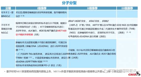 2022年版中国临床肿瘤学会 CSCO 非小细胞肺癌治疗指南出炉 全球肿瘤医生网