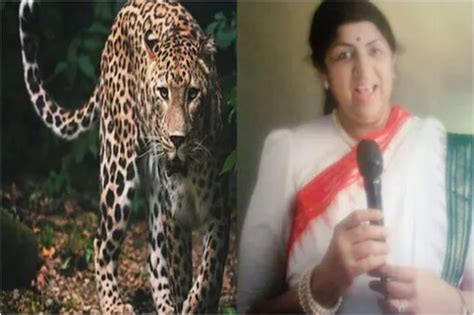 Lata Mangeshkar గాన కోకిల లతా మంగేష్కర్ ఇంటి దగ్గర చిరుత కలకలం Lata Mangeshkar Leopard