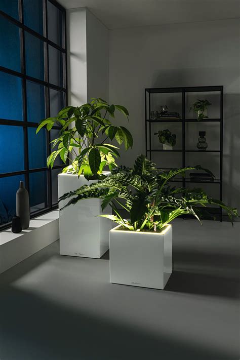 Lechuza Canto Premium High Planter Led Interismo Online Shop Global