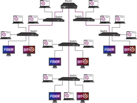 Types of Backbone Networks