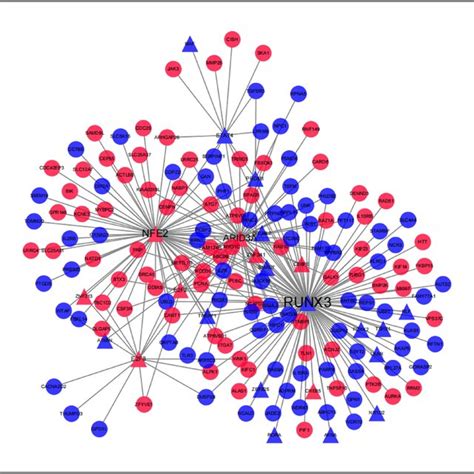 Shared Transcription Factors SDEGs Network Triangle Transcription