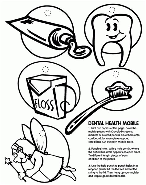 Tooth Anatomy Diagram Unlabeled On Worksheets Sketch Coloring Page