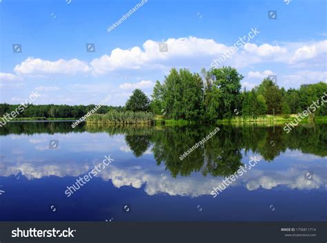 Paprocany Images Stock Photos Vectors Shutterstock