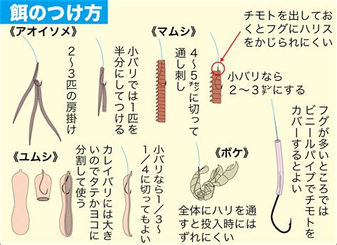 カレイの釣り方 関西のつりweb 釣りの総合情報メディアmeme