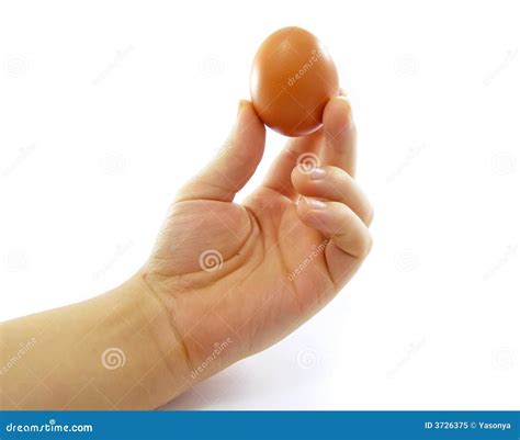 Egg In The Hand Stock Image Image Of Holding Fingers 3726375