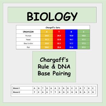 Biology Chargaff S Rule DNA Base Pairing By Powered By Mitochondria