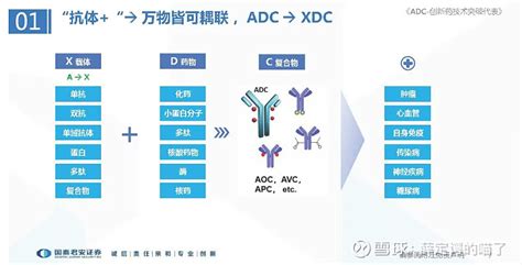 当下看adc，将来看xdc Adc（antibody Drug Conjugate，抗体偶联药物）的概念最早始于德国医学家、诺贝尔奖得主