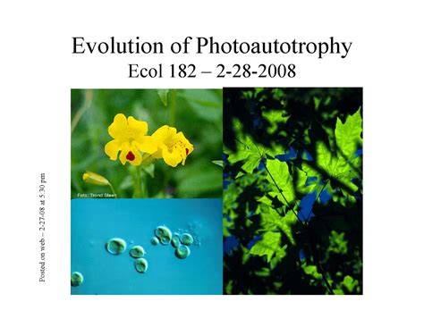 Evolution Of Photoautotroph Introductory Biology Ii Handout Ecol 182r Docsity