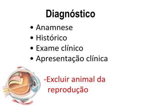 Prolapso de Terceira Pálpebra Tecnica Cirurgica PPT