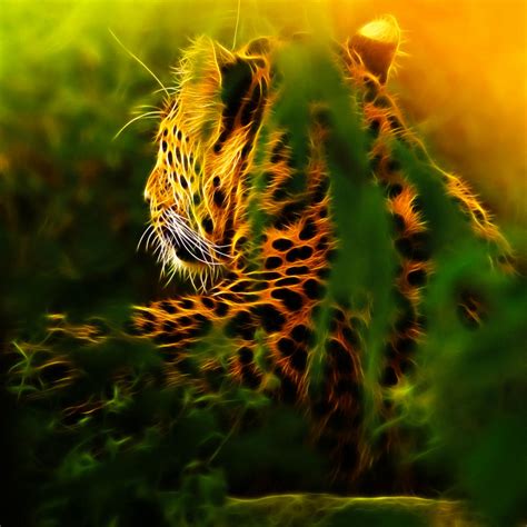 Leopard in Jungle by megaossa on deviantART