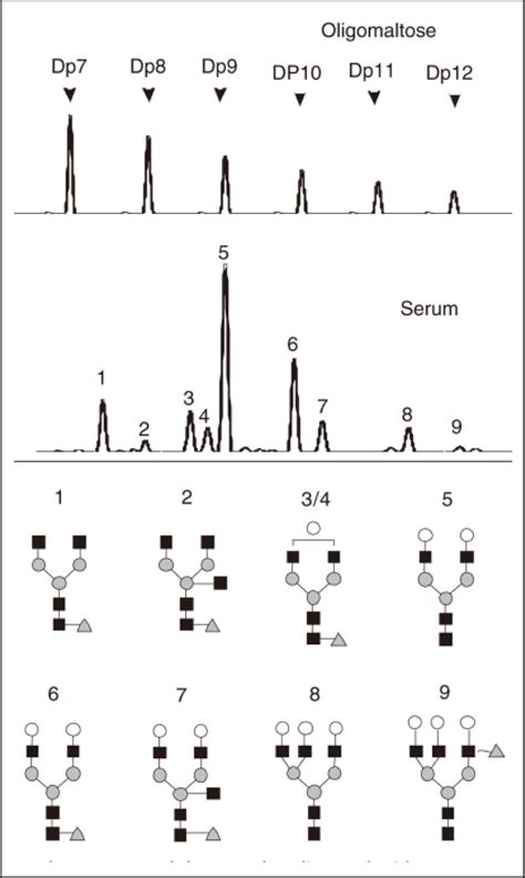 Serum N Glycomic Markers In Combination With Panels Improves The