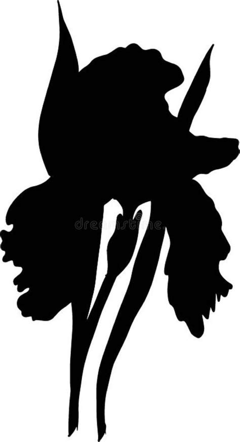 Bloemenbloem Silhouet Vrouwelijk Geluk Lijn Tekening Spathiphyllum