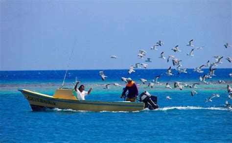 The Floor Show At Sea At Zeerovers, Aruba