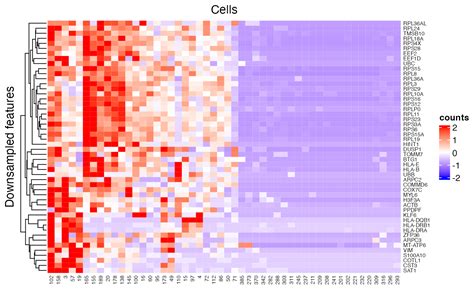 Heatmap Visualization Singlecelltk