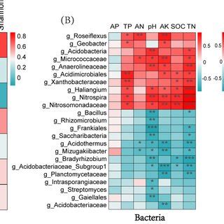 Box Plots Of Rhizosphere Microbial Alpha Diversity Index Under