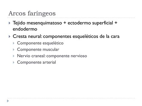 Ppt Desarrollo De Cabeza Y Cuello Aparato Far Ngeo Powerpoint