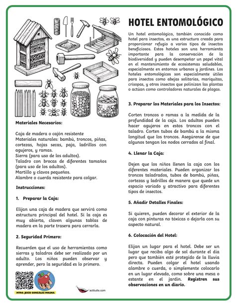 Creamos un "hotel entomológico" - Actiludis