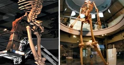 Giant Human Skeleton Museum