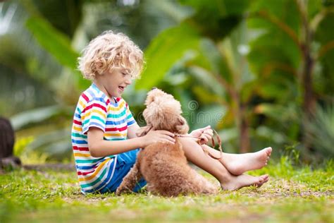 Kids Play with Puppy. Children and Dog in Garden Stock Photo - Image of ...