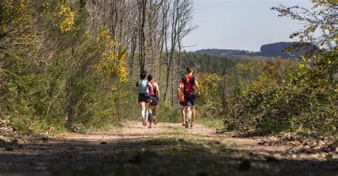 Circuit De Trail Boucle N De Chateau Chinon Ch Teau Chinon Ville