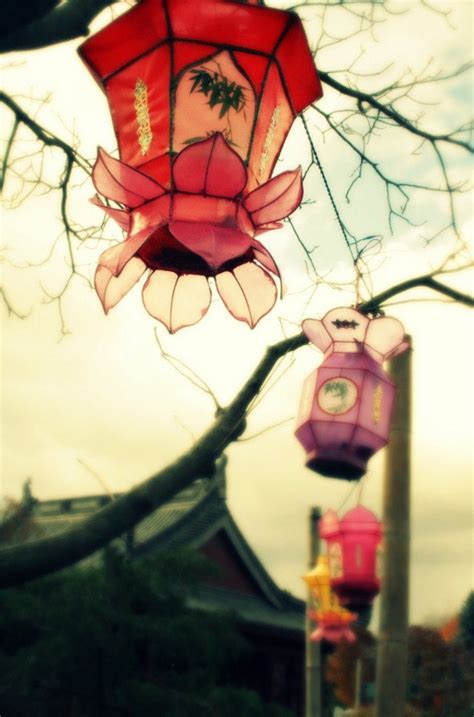 Chinese Lantern Photography Lantern Photo Colorful Home Decor Lantern ...