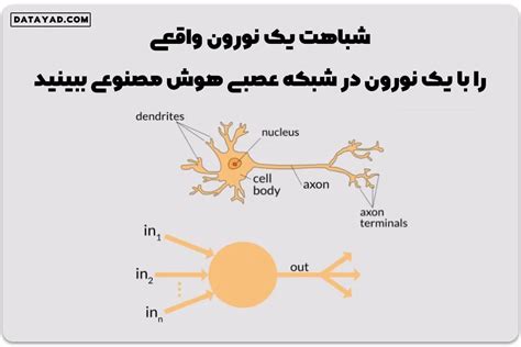 آموزش شبکه عصبی جلسه 2 از 9 رایگان شبکه عصبی چیست پارت اول