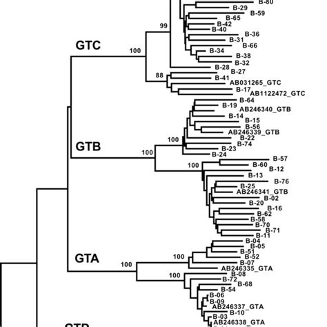 Phylogenetic Analysis Of Hbv Isolated In This Study The Whole Genome