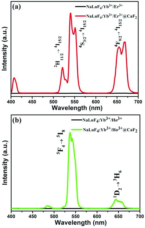 The Upconversion Luminescence Spectra Under Excitation At Nm Using