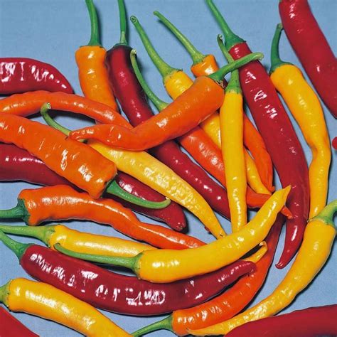 Cayenne Pepper Hot Mix A Fiery Mix Of Red Yellow Purple Green And