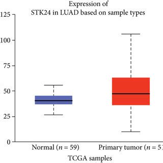 STK24 Overexpression Confers Poor Prognosis Of LUAD Patients A