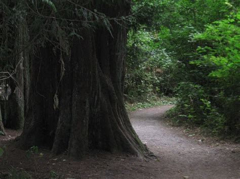 Snohomish County parks mccollum park - SnohomishTalk