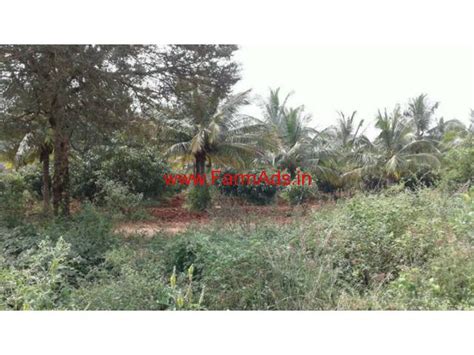 30 Acres Agriculture Land For Sale At Koratagere Taluk Tumkur District