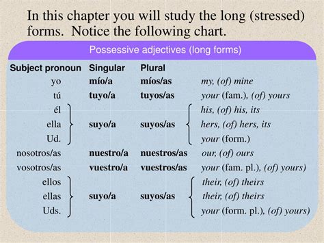 Ppt Long Form Possessive Adjectives And Pronouns Powerpoint Presentation Id4392868