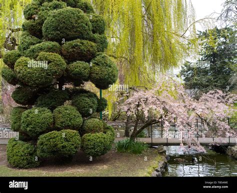 Goodacre Lake In Beacon Hill Park Hi Res Stock Photography And Images