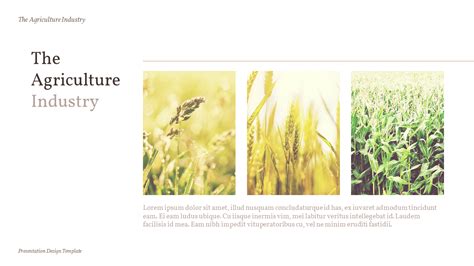 The Agriculture Industry Background PowerPoint