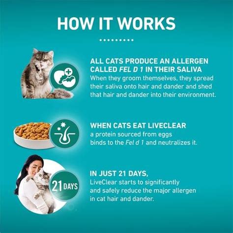Purina ONE LiveClear Allergen Reducing Adult Dry Cat Food | Purina US