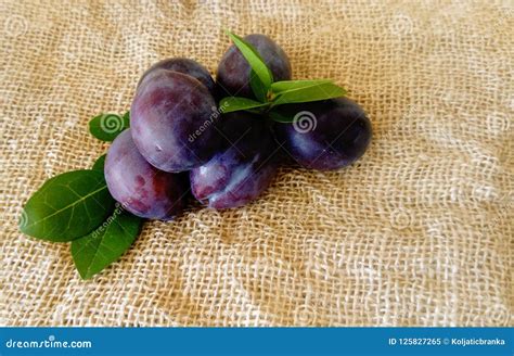 Natural blue plums stock image. Image of chocolate, blue - 125827265