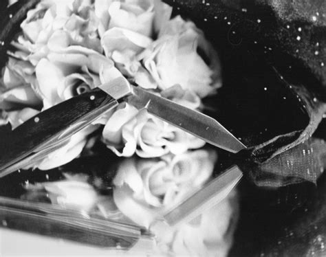 A Black And White Photo Of Flowers With A Pair Of Scissors In The