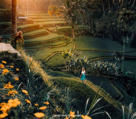 Ubud Bali 14 X Things To Do In Ubud Complete 3 Day Guide