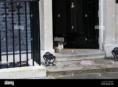 larry the cat 10 downing street