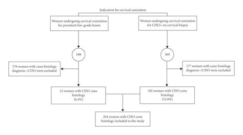 Study flowchart according to the indication for cervical conization ...