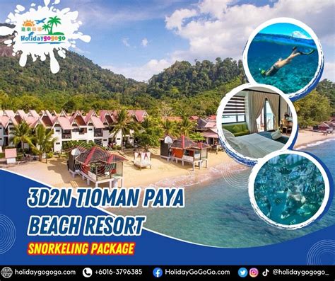 Promo D N Tioman Paya Beach Resort Snorkeling Package