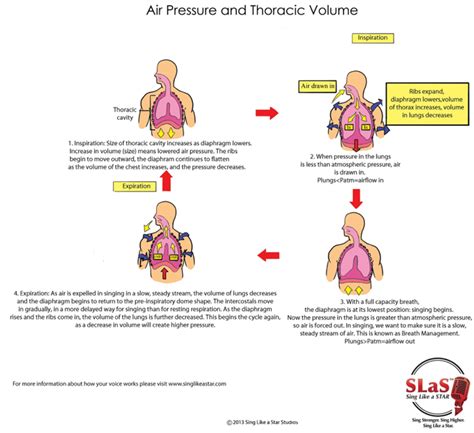 Singing Tips How To Sing From The Diaphragm Sing Like A Star