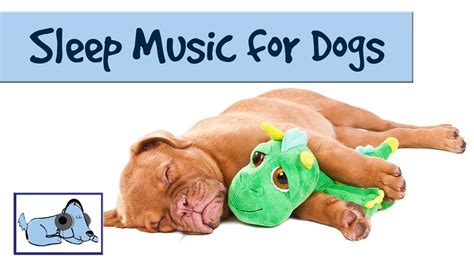 The Dog Song - Music to Help your Dog Sleep 🐶 RMD09 - YouTube