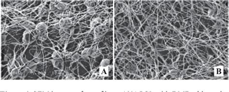 Figure 6 From Polymers Nanofibers As Vehicles For The Release Of The