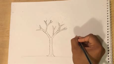 How to Draw a Dead Tree: 6 Steps (with Pictures) - wikiHow